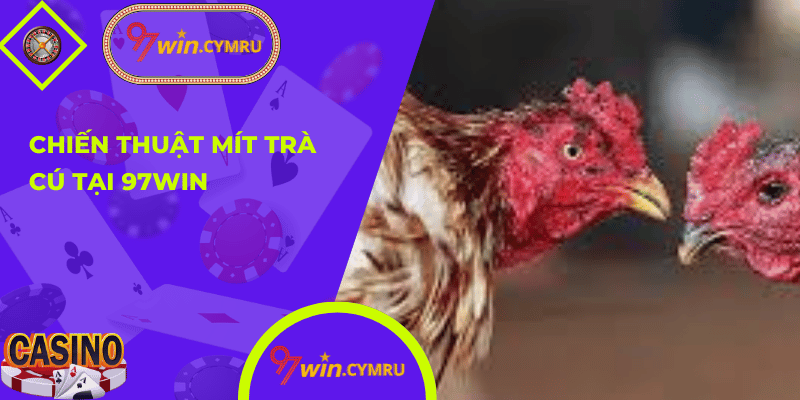 Mít Trà Cú 01